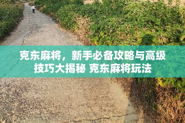 克东**，新手必备攻略与高级技巧大揭秘 克东**玩法