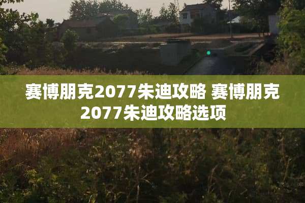 赛博朋克2077朱迪攻略 赛博朋克2077朱迪攻略选项