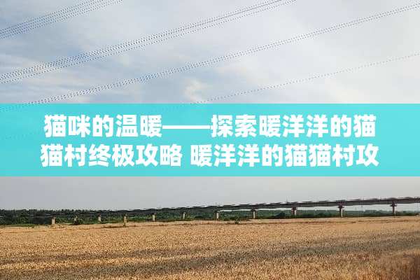 猫咪的温暖——探索暖洋洋的猫猫村终极攻略 暖洋洋的猫猫村攻略
