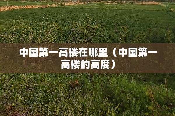 中国第一高楼在哪里（中国第一高楼的高度）