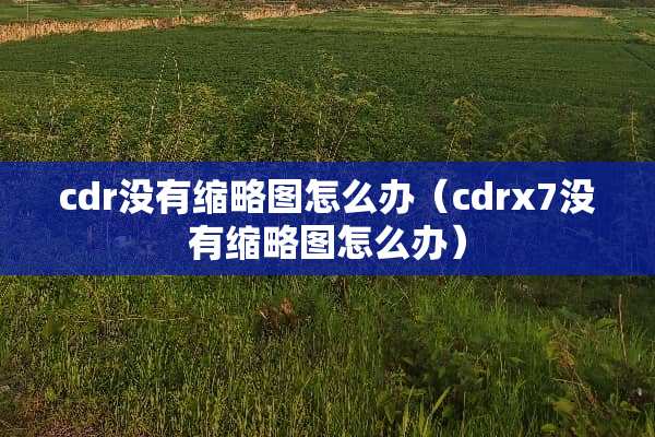 cdr没有缩略图怎么办(cdrx7没有缩略图怎么办) cdr没有缩略图怎么办(cdrx7没有缩略图怎么办)