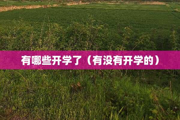 有哪些开学了(有没有开学的) 有哪些开学了(有没有开学的)