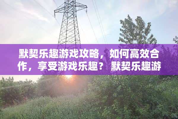 默契乐趣游戏攻略，如何高效合作，享受游戏乐趣？ 默契乐趣游戏攻略