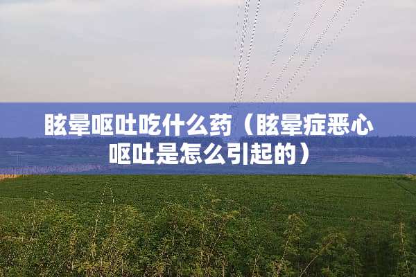 眩晕呕吐吃什么药(眩晕症恶心呕吐是怎么引起的) 眩晕呕吐吃什么药(眩晕症恶心呕吐是怎么引起的)