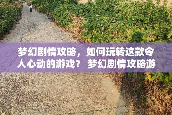 梦幻剧情攻略，如何玩转这款令人心动的游戏？ 梦幻剧情攻略游戏