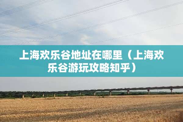 上海欢乐谷地址在哪里(上海欢乐谷游玩攻略知乎) 上海欢乐谷地址在哪里(上海欢乐谷游玩攻略知乎)
