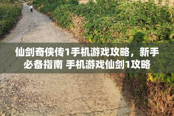 仙剑奇侠传1手机游戏攻略，新手必备指南 手机游戏仙剑1攻略