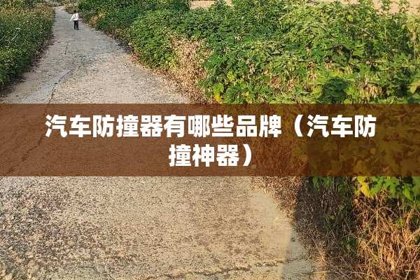 汽车防撞器有哪些品牌（汽车防撞神器）