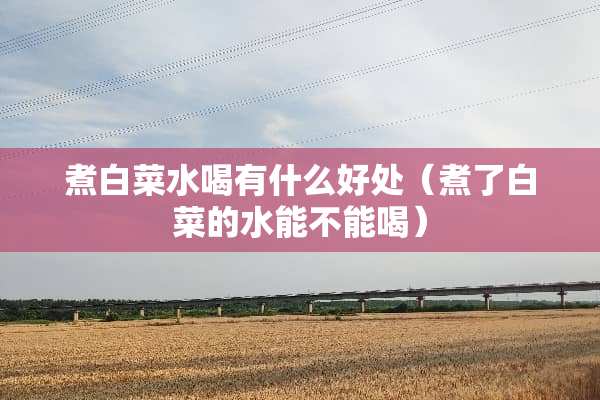 煮白菜水喝有什么好处（煮了白菜的水能不能喝）