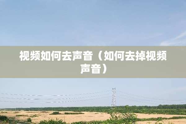 视频如何去声音（如何去掉视频声音）