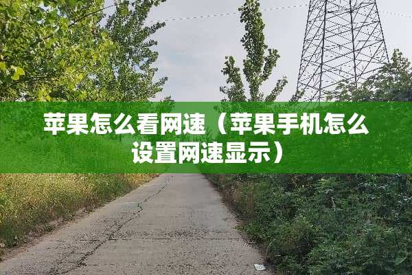 苹果怎么看网速(苹果手机怎么设置网速显示) 苹果怎么看网速(苹果手机怎么设置网速显示)