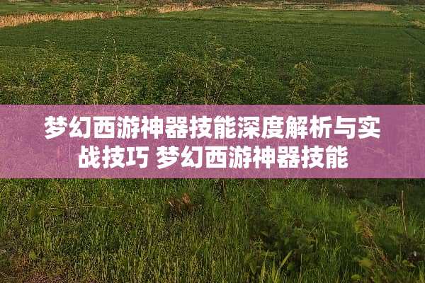 梦幻西游神器技能深度解析与实战技巧 梦幻西游神器技能