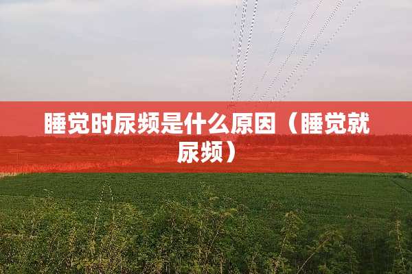 睡觉时尿频是什么原因（睡觉就尿频）