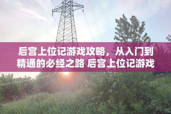后宫上位记游戏攻略,从入门到精通的必经之路 后宫上位记游戏攻略全 后宫上位记游戏攻略,从入门到精通的必经之路 后宫上位记游戏攻略全