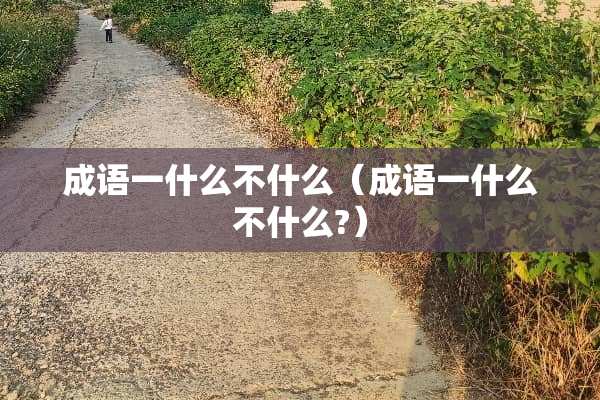 成语一什么不什么（成语一什么不什么?）