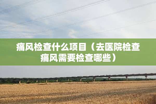 痛风检查什么项目（去医院检查痛风需要检查哪些）