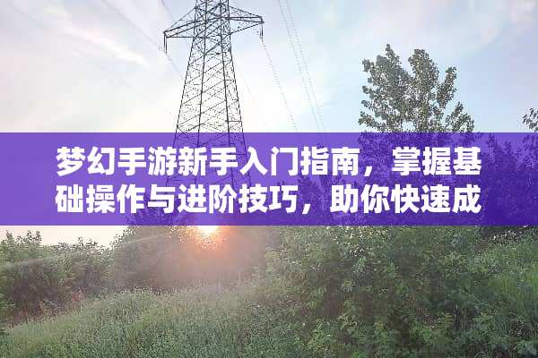 梦幻手游新手入门指南，掌握基础操作与进阶技巧，助你快速成为高手 梦幻手游新手攻略