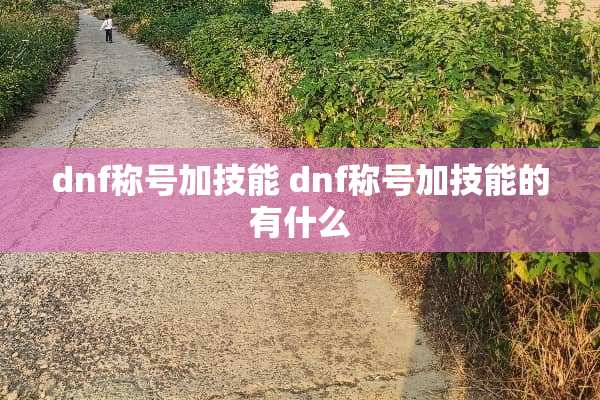 dnf称号加技能 dnf称号加技能的有什么