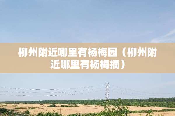 柳州附近哪里有杨梅园(柳州附近哪里有杨梅摘) 柳州附近哪里有杨梅园(柳州附近哪里有杨梅摘)