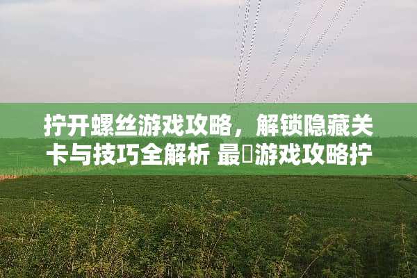 拧开螺丝游戏攻略,解锁隐藏关卡与技巧全解析 最囧游戏攻略拧开螺丝 拧开螺丝游戏攻略,解锁隐藏关卡与技巧全解析 最囧游戏攻略拧开螺丝