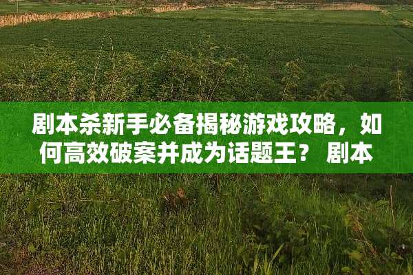 剧本杀新手必备揭秘游戏攻略,如何高效破案并成为话题王? 剧本杀玩法技巧 剧本杀新手必备揭秘游戏攻略,如何高效破案并成为话题王? 剧本杀玩法技巧