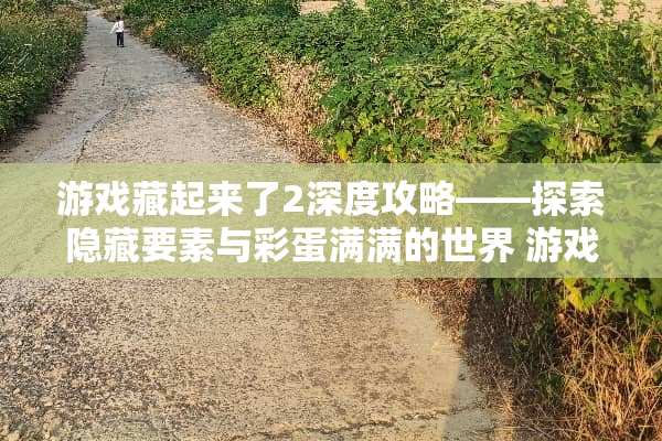 游戏藏起来了2深度攻略——探索隐藏要素与彩蛋满满的世界 游戏藏起来了2攻略9