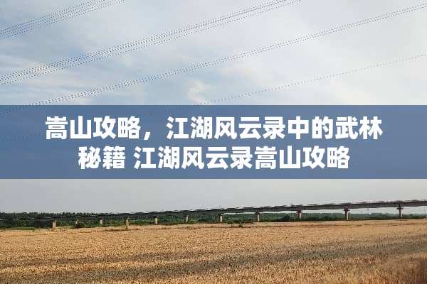 嵩山攻略,江湖风云录中的武林秘籍 江湖风云录嵩山攻略 嵩山攻略,江湖风云录中的武林秘籍 江湖风云录嵩山攻略