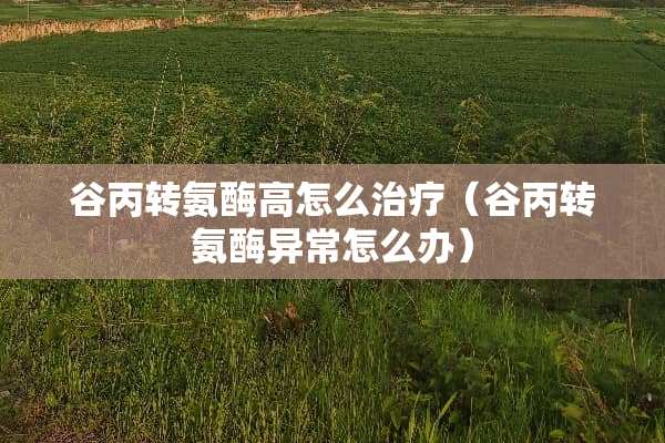 谷丙转氨酶高怎么治疗(谷丙转氨酶异常怎么办) 谷丙转氨酶高怎么治疗(谷丙转氨酶异常怎么办)