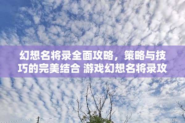 幻想名将录全面攻略,策略与技巧的完美结合 游戏幻想名将录攻略 幻想名将录全面攻略,策略与技巧的完美结合 游戏幻想名将录攻略