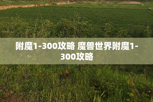 附魔1-300攻略 魔兽世界附魔1-300攻略 附魔1-300攻略 魔兽世界附魔1-300攻略