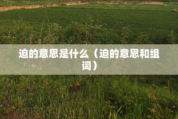 迫的意思是什么（迫的意思和组词）