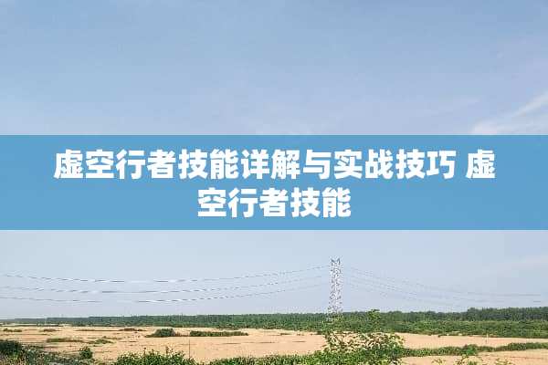 虚空行者技能详解与实战技巧 虚空行者技能