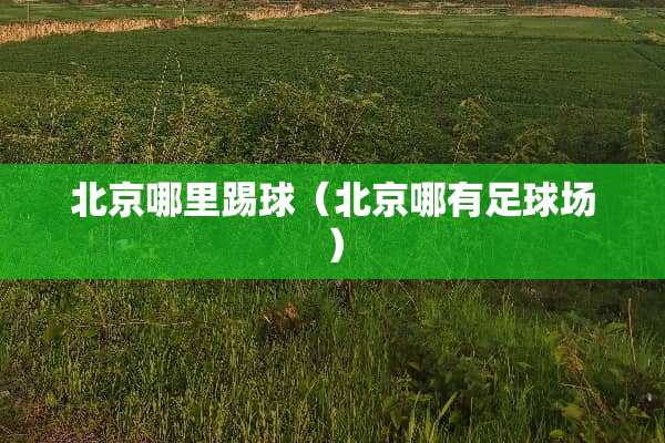 北京哪里踢球（北京哪有**场）