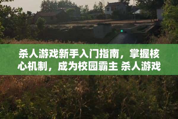 杀人游戏新手入门指南，掌握核心机制，成为校园霸主 杀人游戏的玩法