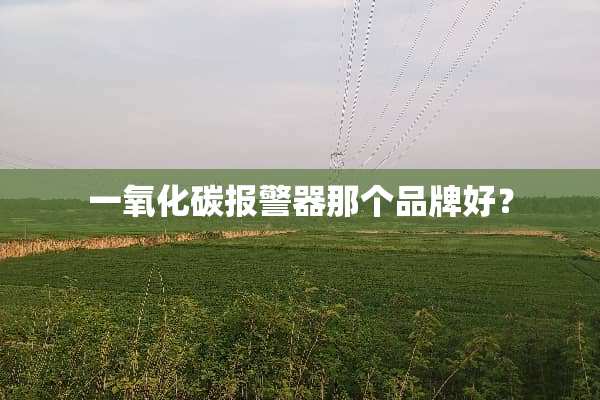 一**碳报警器那个品牌好？