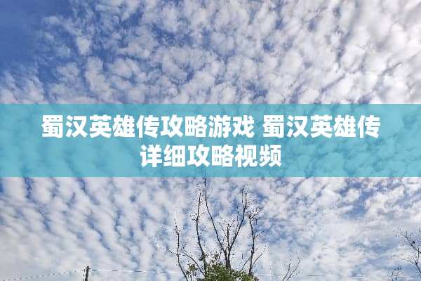 蜀汉英雄传攻略游戏 蜀汉英雄传详细攻略视频