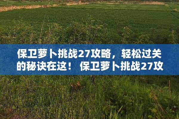 保卫萝卜挑战27攻略，轻松过关的秘诀在这！ 保卫萝卜挑战27攻略