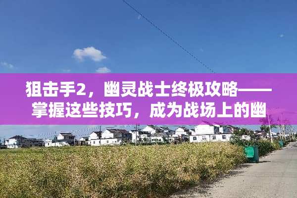 **手2，幽灵战士终极攻略——掌握这些技巧，成为战场上的幽灵猎手**手2幽灵战士攻略