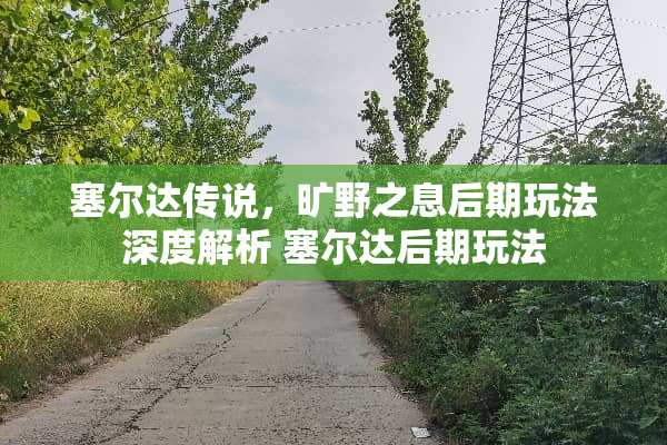 塞尔达传说，旷野之息后期玩法深度解析 塞尔达后期玩法