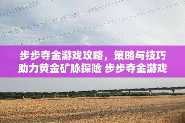 步步夺金游戏攻略，策略与技巧助力黄金矿脉探险 步步夺金游戏攻略
