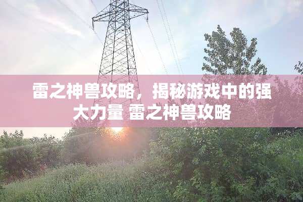 雷之神兽攻略，揭秘游戏中的强大力量 雷之神兽攻略