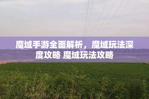 魔域手游全面解析,魔域玩法深度攻略 魔域玩法攻略 魔域手游全面解析,魔域玩法深度攻略 魔域玩法攻略