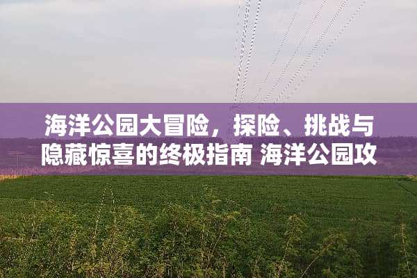 海洋公园大冒险，探险、挑战与隐藏惊喜的终极指南 海洋公园攻略游戏