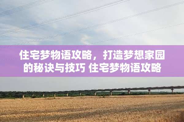 住宅梦物语攻略，打造梦想家园的秘诀与技巧 住宅梦物语攻略