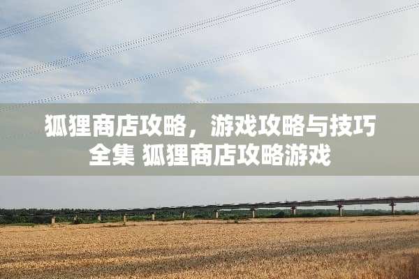 狐狸商店攻略，游戏攻略与技巧全集 狐狸商店攻略游戏