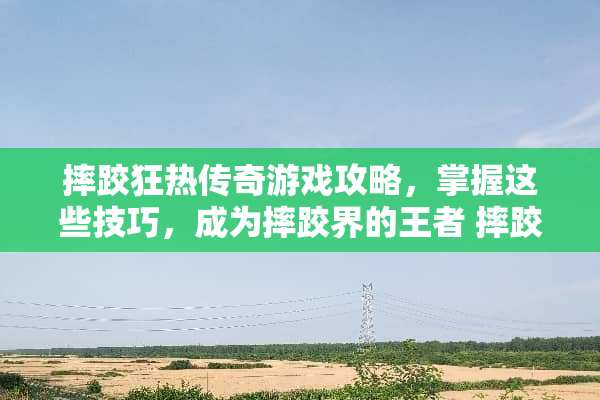 摔跤狂热传奇游戏攻略，掌握这些技巧，成为摔跤界的王者 摔跤狂热传奇游戏攻略