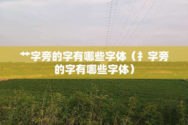 艹字旁的字有哪些字体（扌字旁的字有哪些字体）