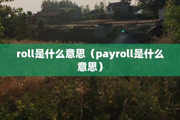 roll是什么意思（payroll是什么意思）