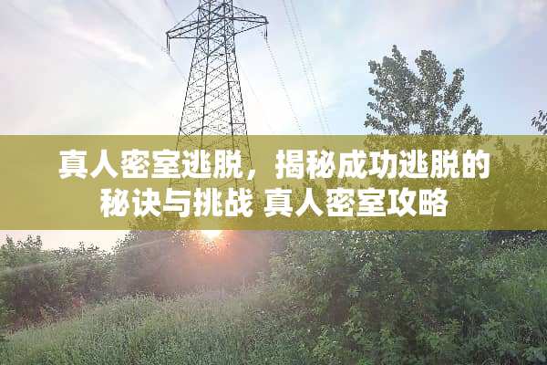 真人密室逃脱，揭秘成功逃脱的秘诀与挑战 真人密室攻略