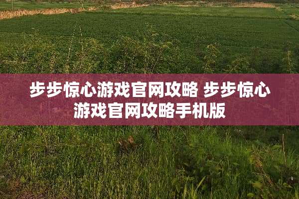 步步惊心游戏官网攻略 步步惊心游戏官网攻略手机版
